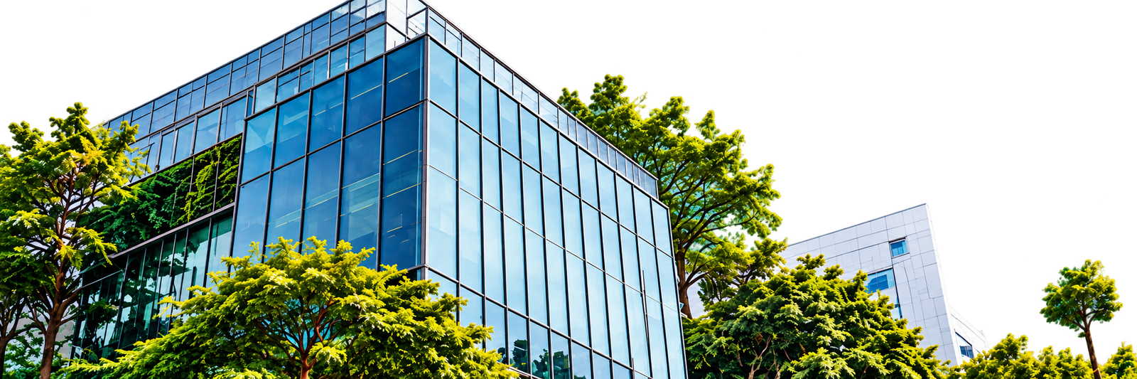 Mitra Muamalat Institute